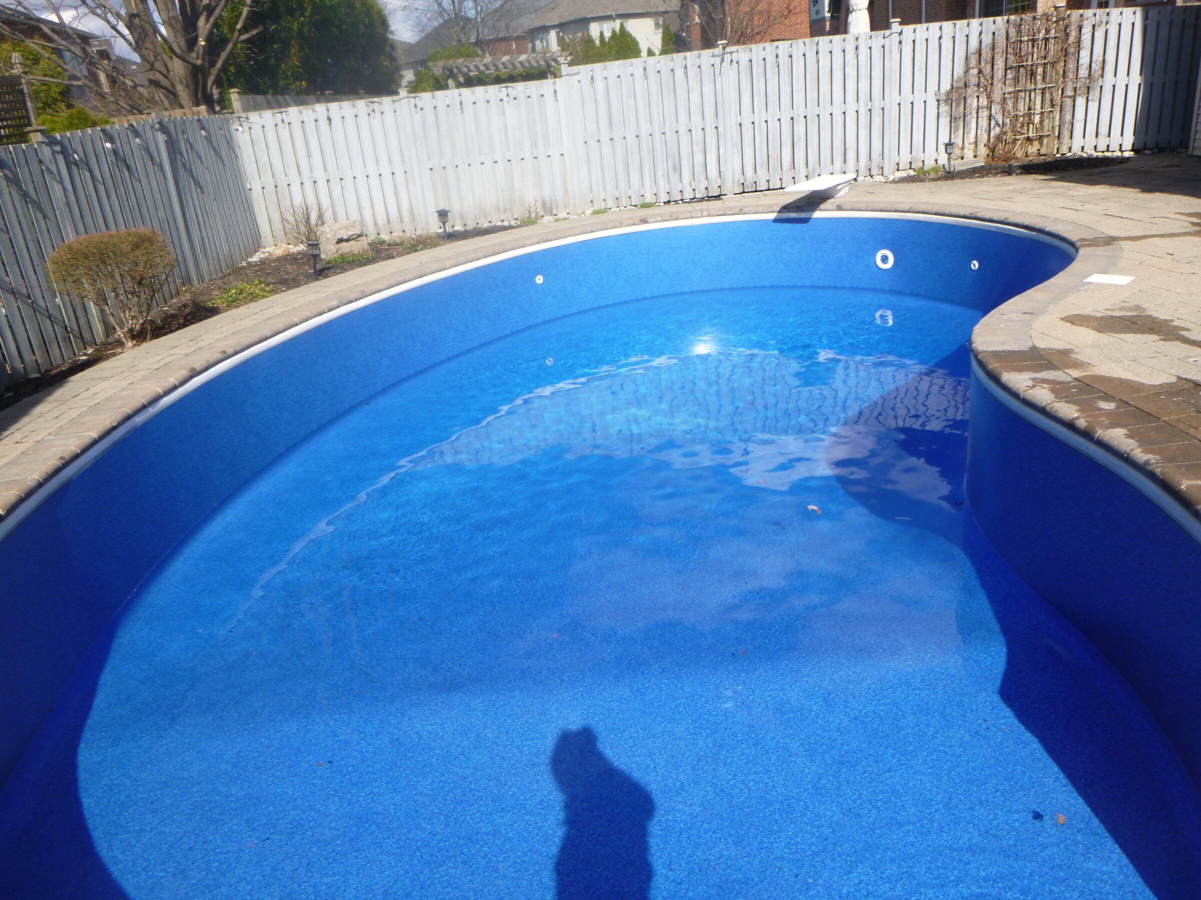 An empty blue swimming pool in a residential backyard with a wooden fence and some sparse vegetation. A shadow of a person is visible.