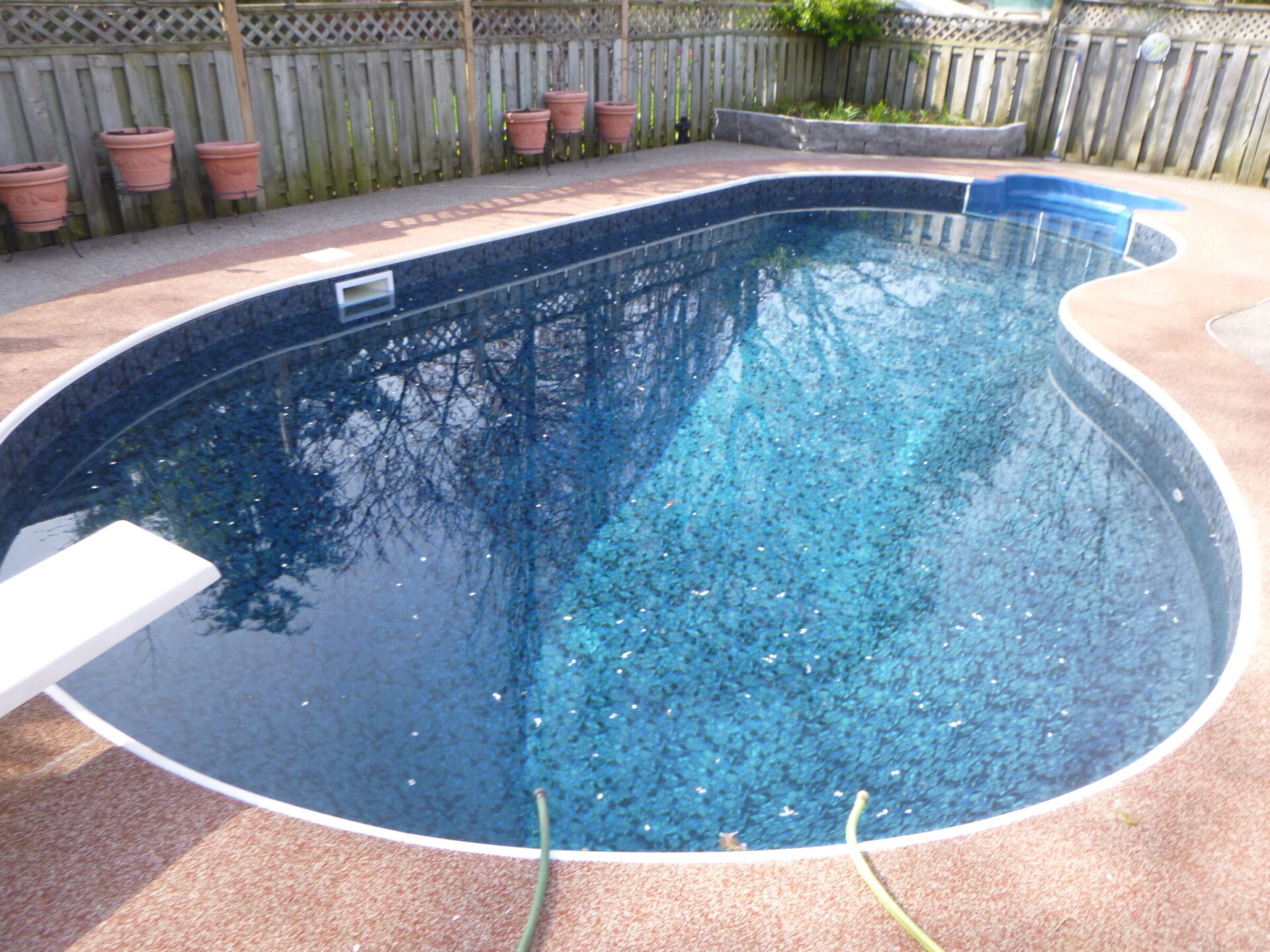 A backyard swimming pool with a diving board, surrounded by a wooden fence and potted plants, reflecting blue sky and trees.