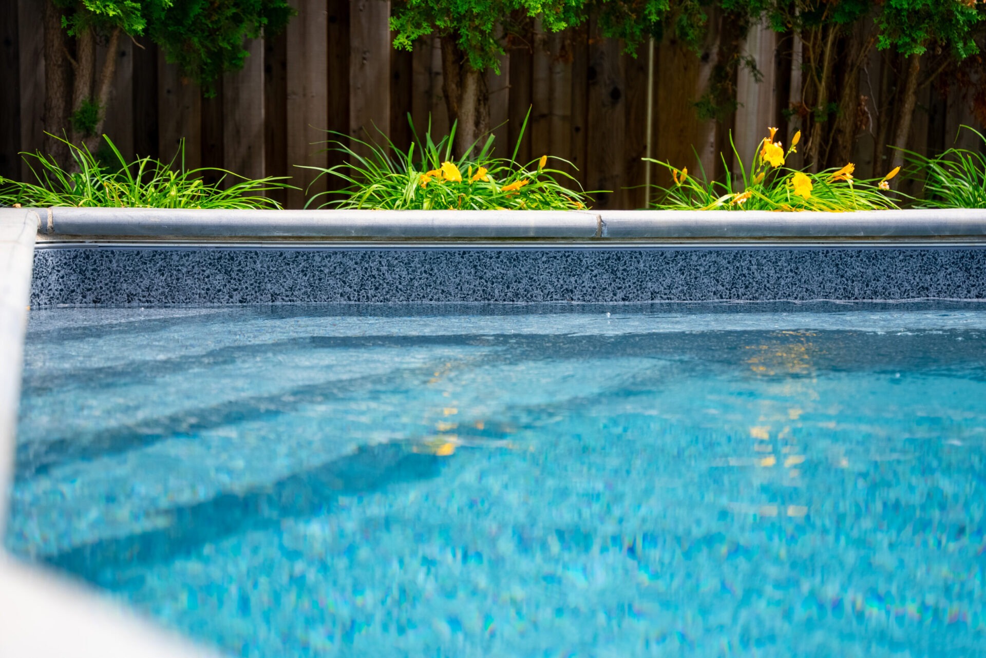 A clear blue swimming pool surrounded by green plants and a wooden fence, creating a serene backyard atmosphere. No people or landmarks visible.