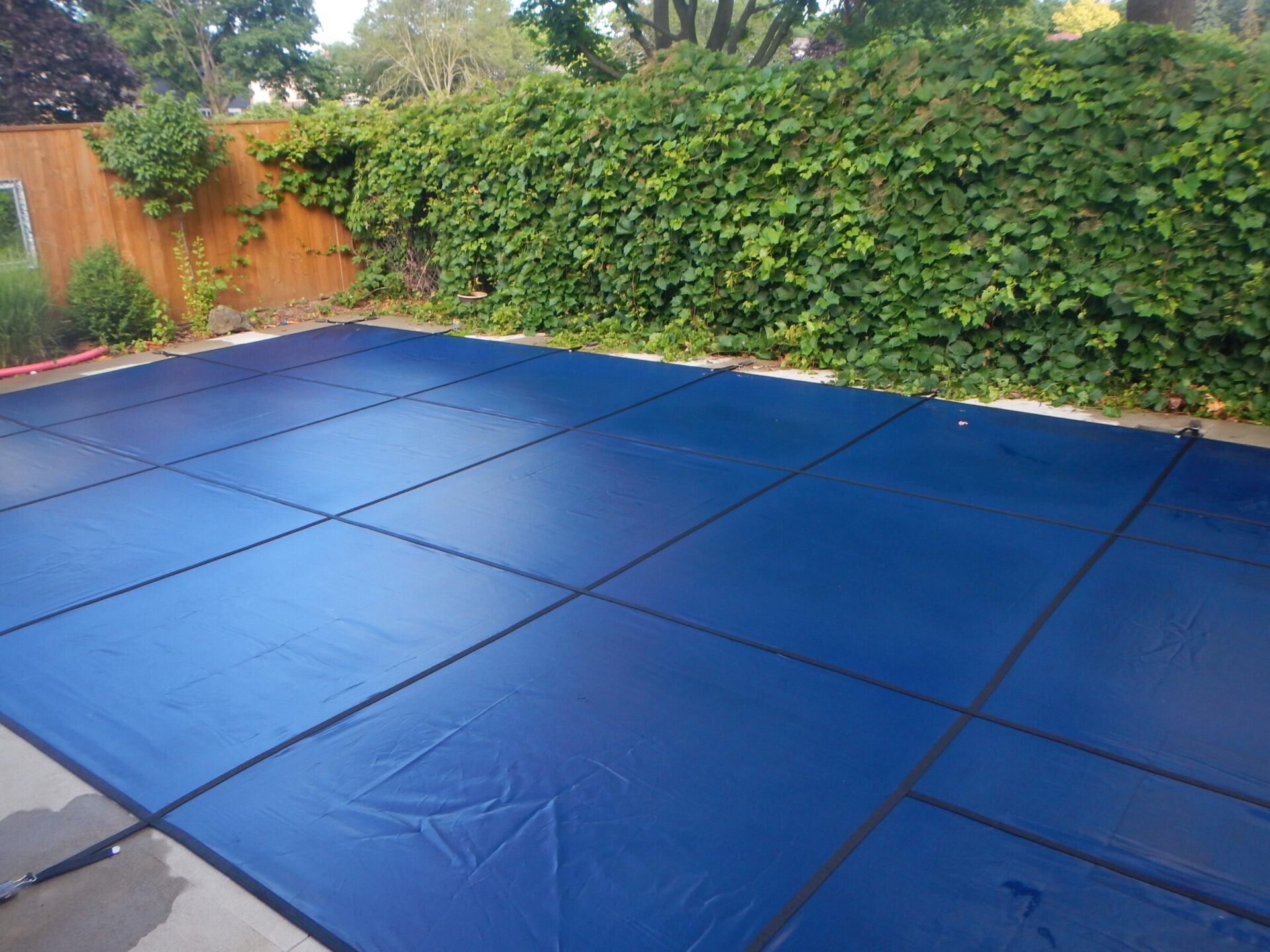 A rectangular, blue pool cover is stretched across a backyard pool, surrounded by a wooden fence and lush greenery on a sunny day.