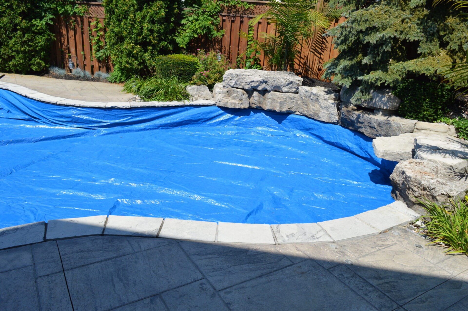 A backyard swimming pool covered with a blue tarp, surrounded by stone edging, landscaped bushes, and a wooden fence on a sunny day.