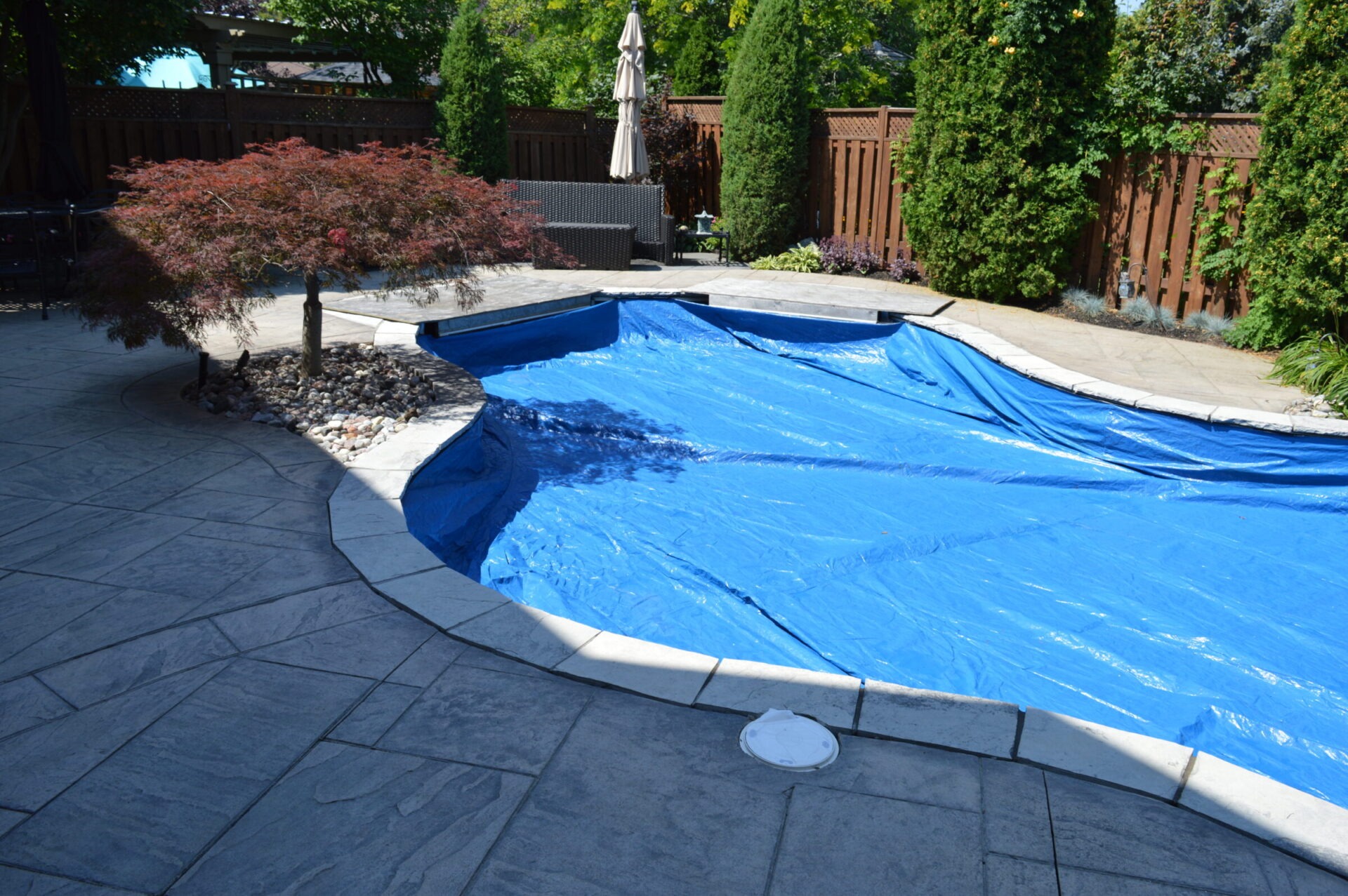 Backyard scene with a covered pool, stone patio, and red-leaved tree. Wooden fence and greenery visible in the background. Umbrella and seating area.