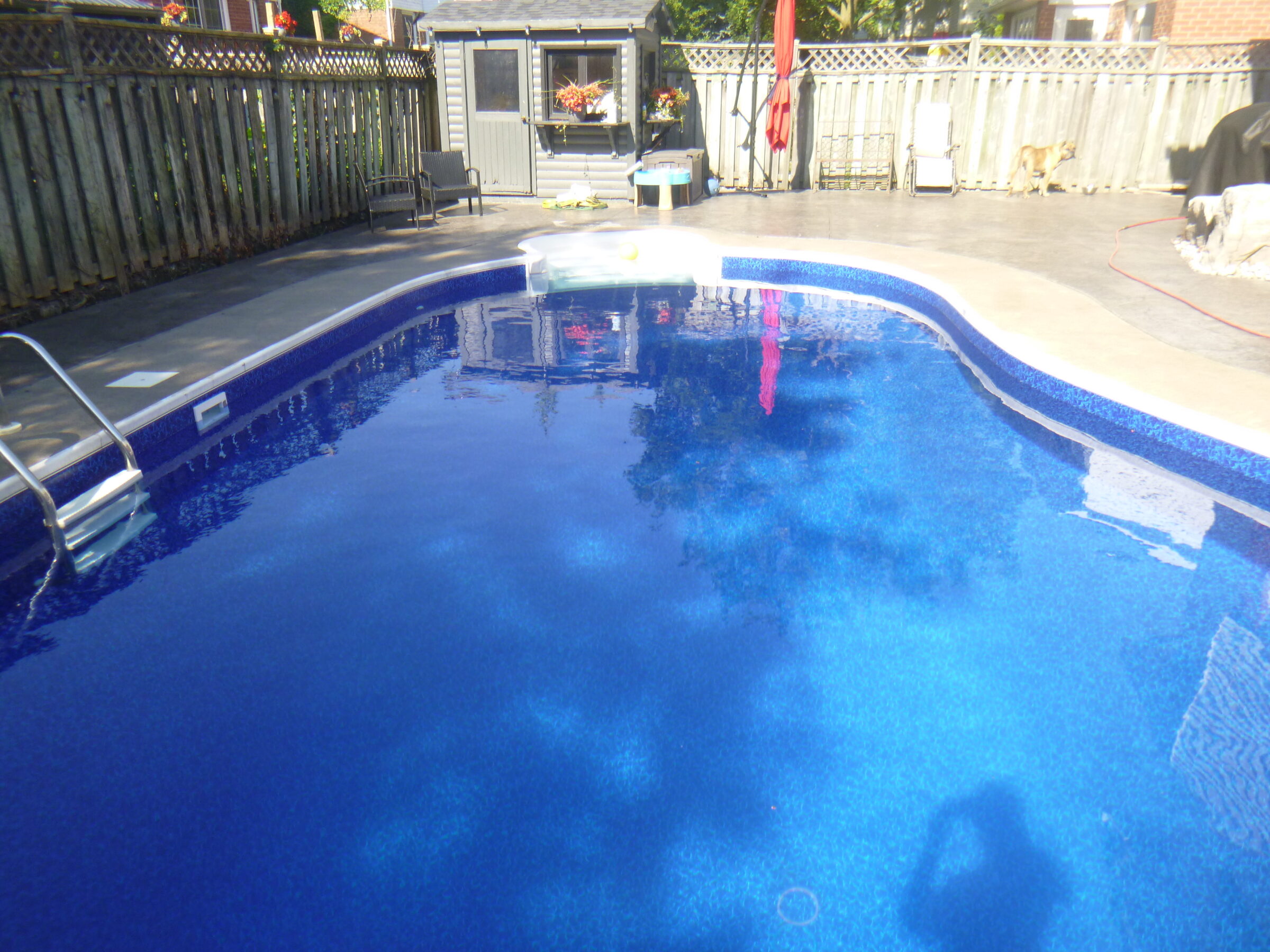 A backyard pool surrounded by a wooden fence, patio chairs, and a small storage shed. A person’s shadow is visible on the water.