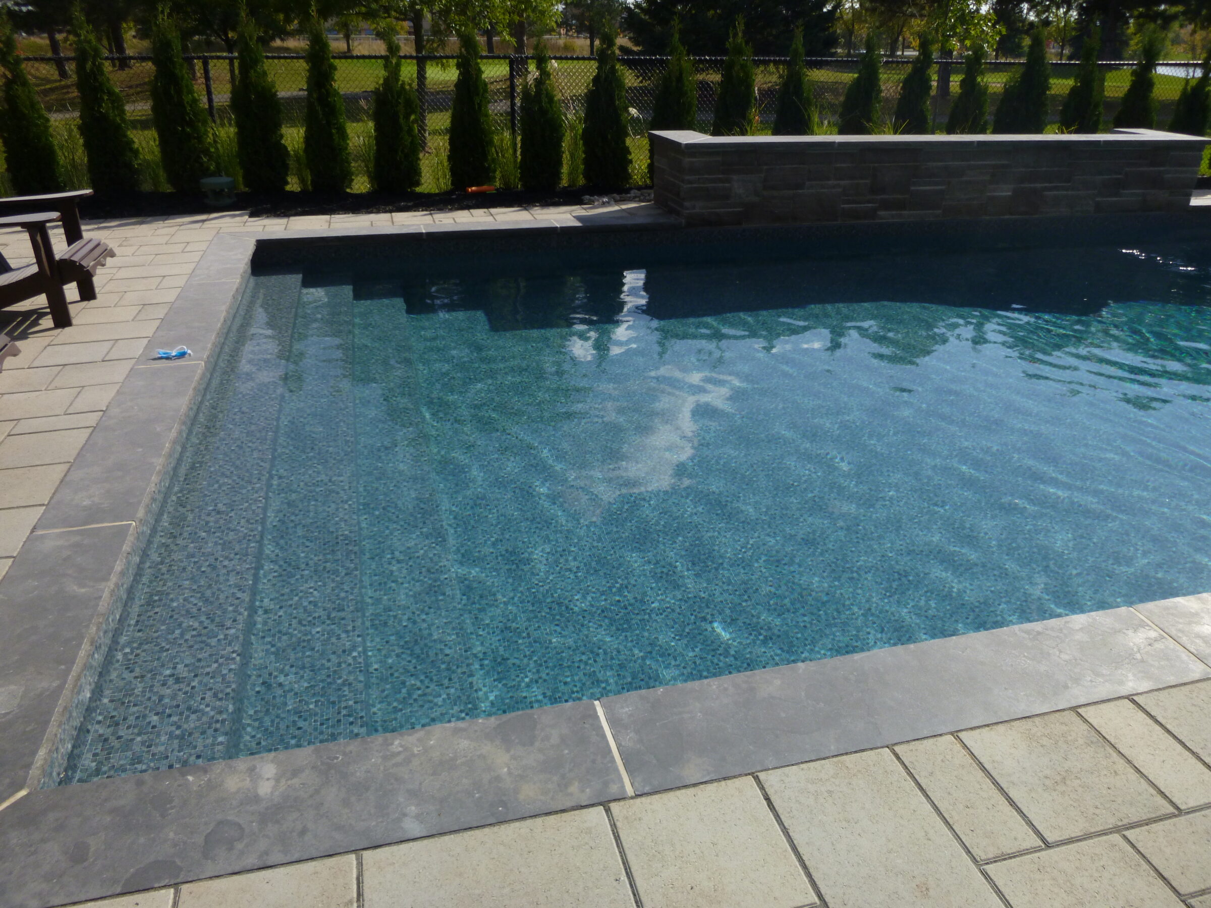 A rectangular swimming pool with a stone patio is surrounded by greenery and a fence. No people or landmarks are visible.