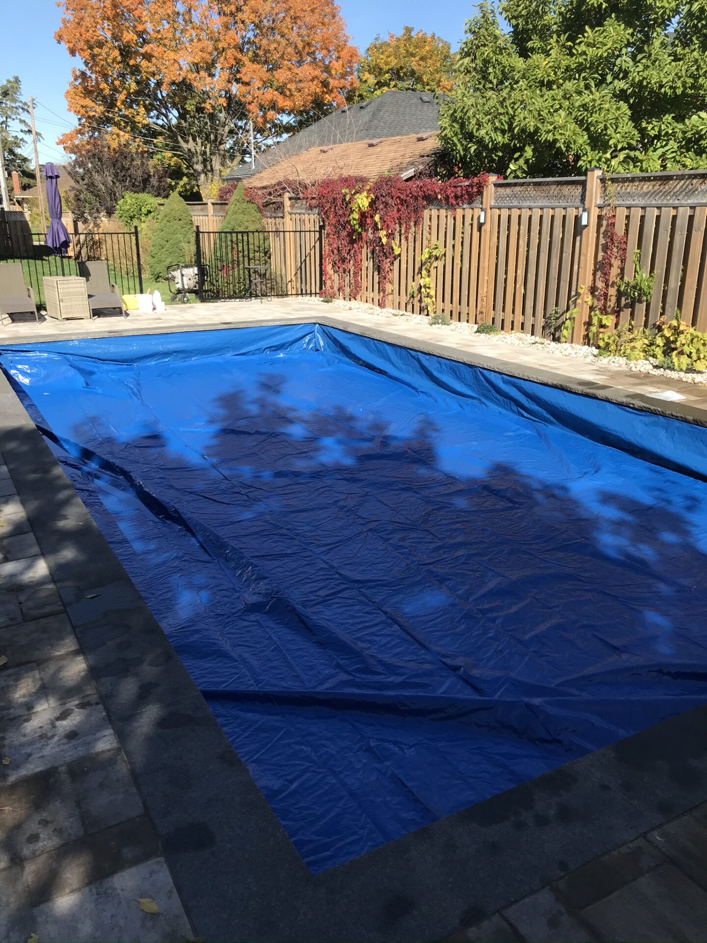 A backyard with a blue-covered pool, surrounded by a wooden fence and autumn trees. Patio furniture is visible nearby.