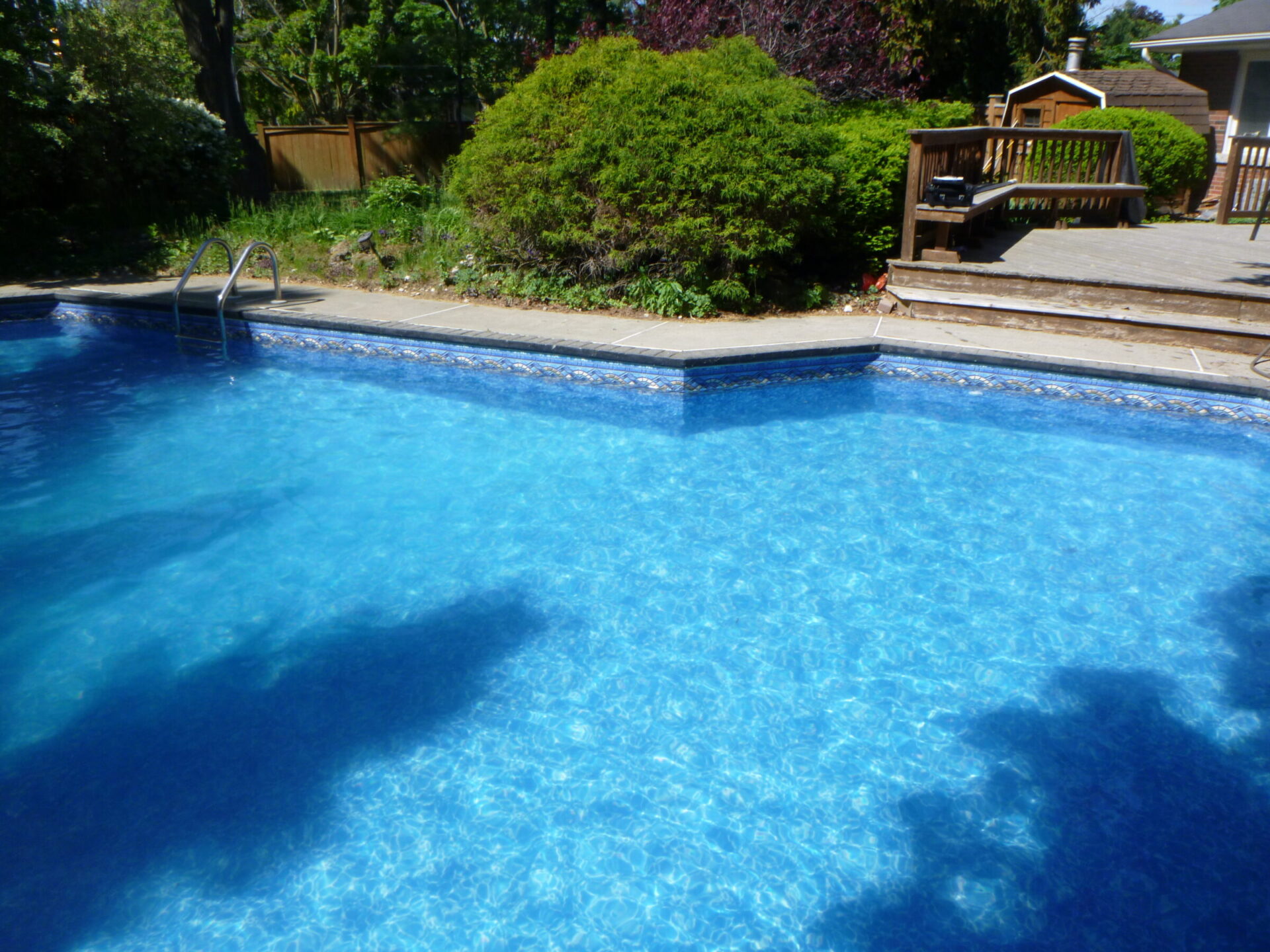 A backyard pool with clear blue water, surrounded by greenery and wooden deck, under a sunny sky. No people or landmarks visible.