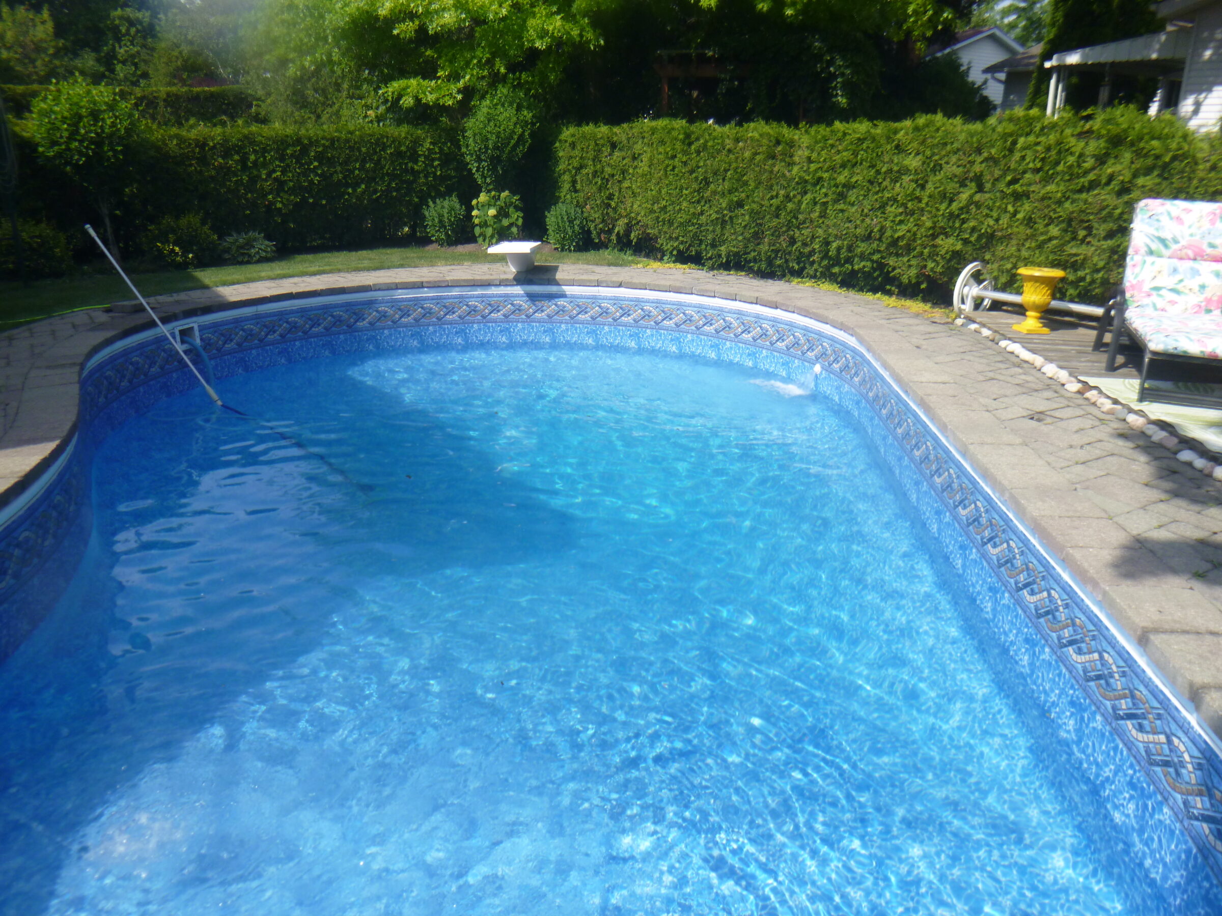 A private backyard scene with a clear blue swimming pool, surrounded by a patio, hedges, and greenery. No people are present.