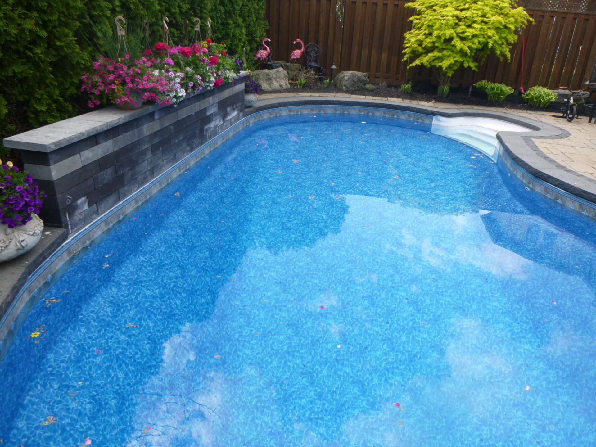 A backyard pool with clear blue water, surrounded by flowers, greenery, and decorative pink flamingos near a wooden privacy fence.