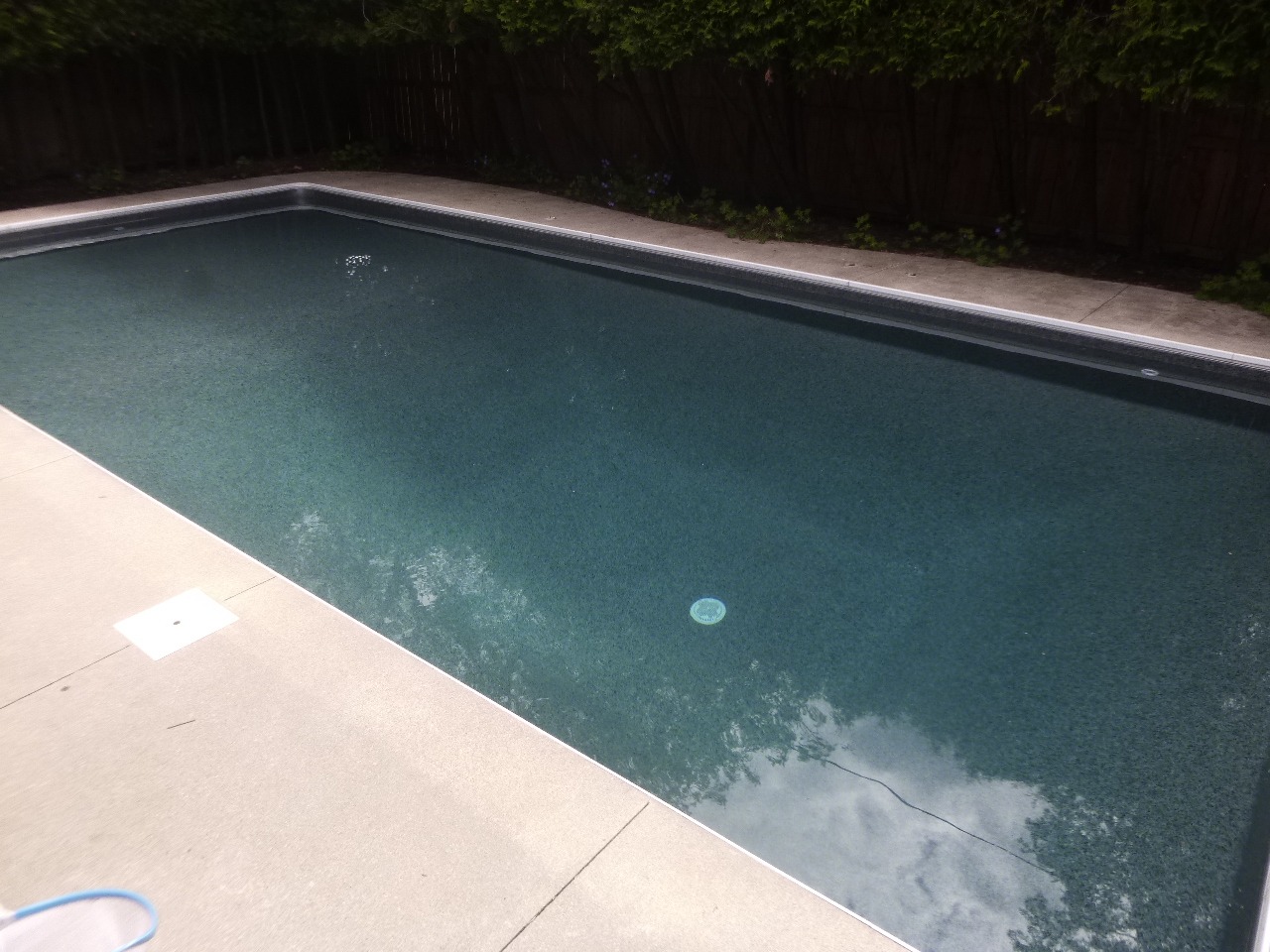 A rectangular swimming pool with clear water, surrounded by a paved deck and lush green fence, under a cloudy sky. Quiet and serene setting.