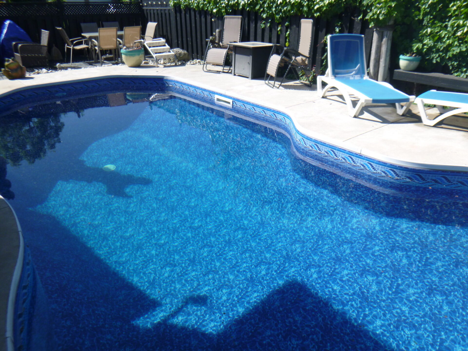 A sunny backyard features a clear blue swimming pool, surrounded by lounge chairs and a wooden fence, creating a relaxing outdoor atmosphere.